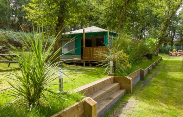 Illustration Silver'Landes de Silver'Landes SurfCamp : Vivez une immersion surf et nature unique !